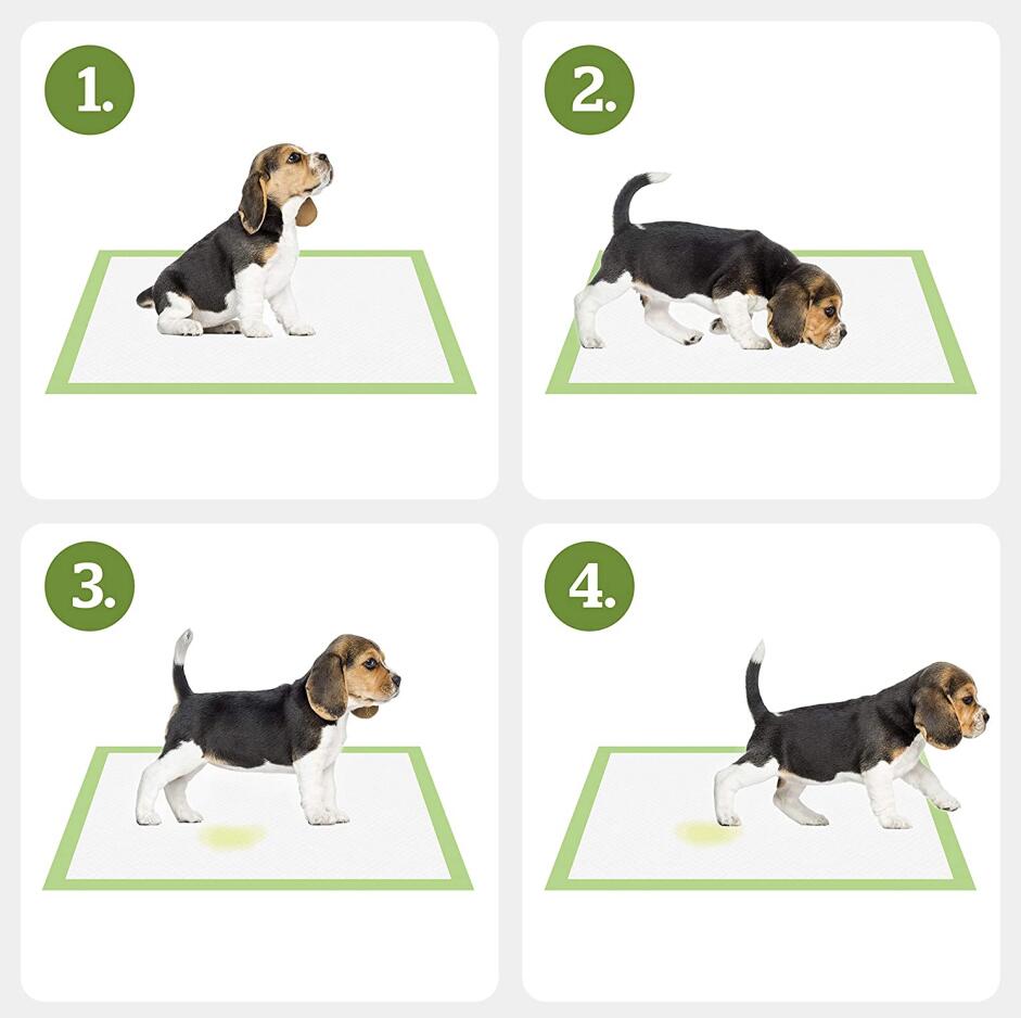 Disposable Pet Puppy Dog Training Pads