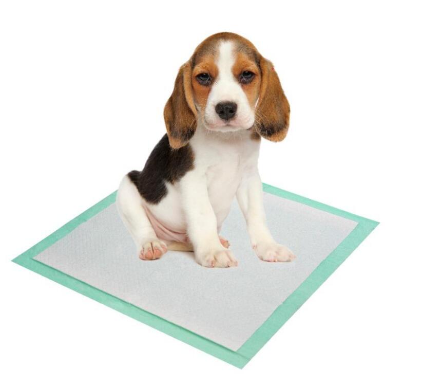 Pet Pads Puppy Training Pads