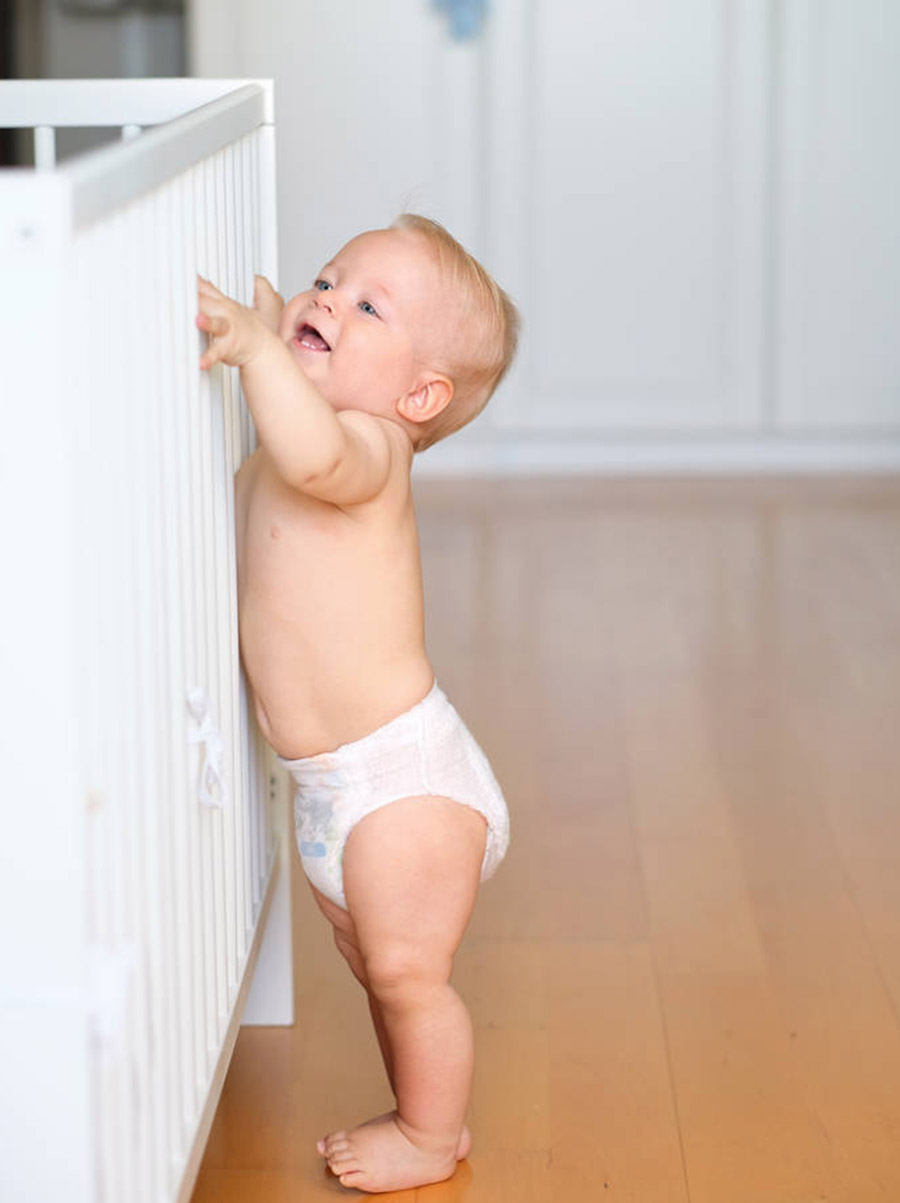 adult baby pull up diapers